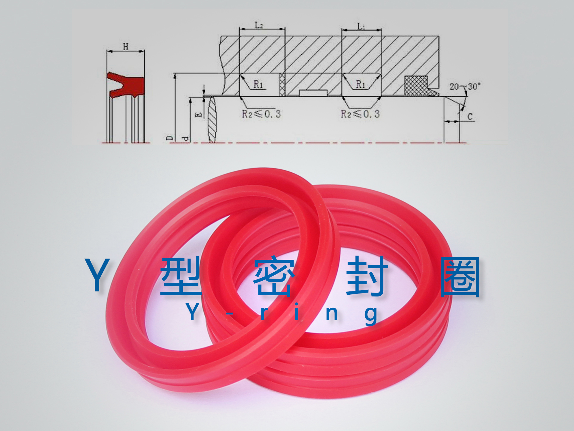 Y型密封圈（密封件、油封）與截面結(jié)構(gòu)產(chǎn)品圖.jpg