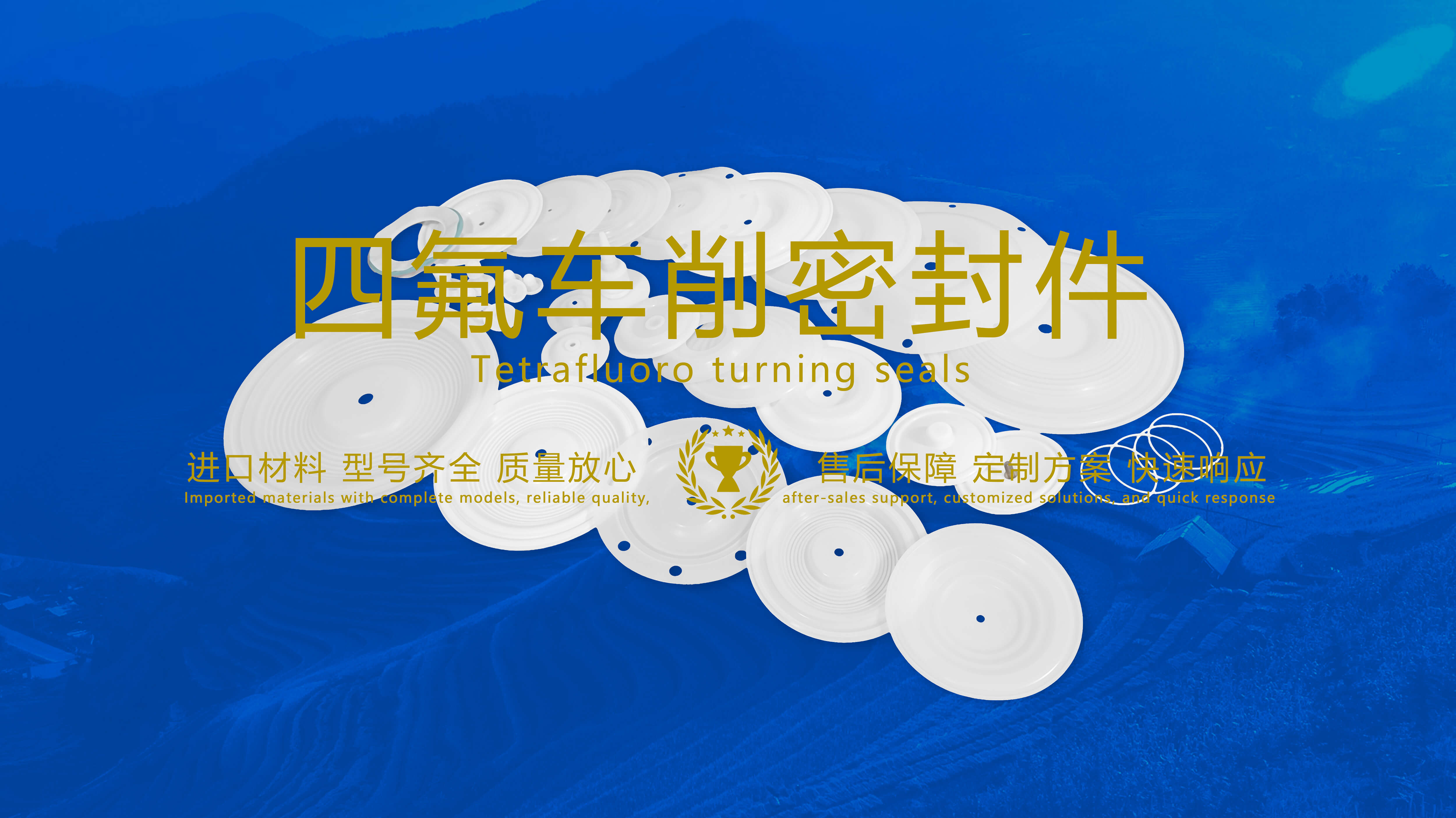 四氟車(chē)削密封件密封圈油封膜片配件產(chǎn)品圖.jpg